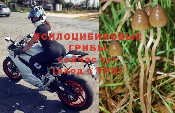 мефедрон мука Киреевск
