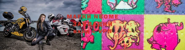 гидра Кодинск