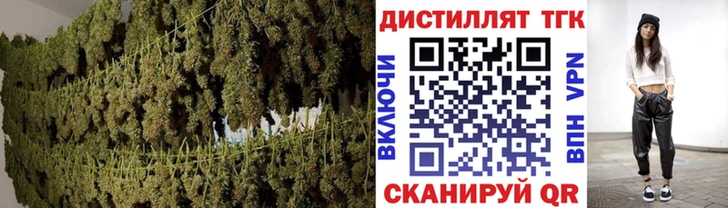 Купить закладки  Серпухов  ТГК THC oil 
