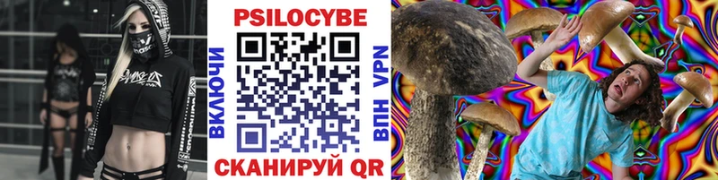 Псилоцибиновые грибы мицелий  Купить  Серпухов 